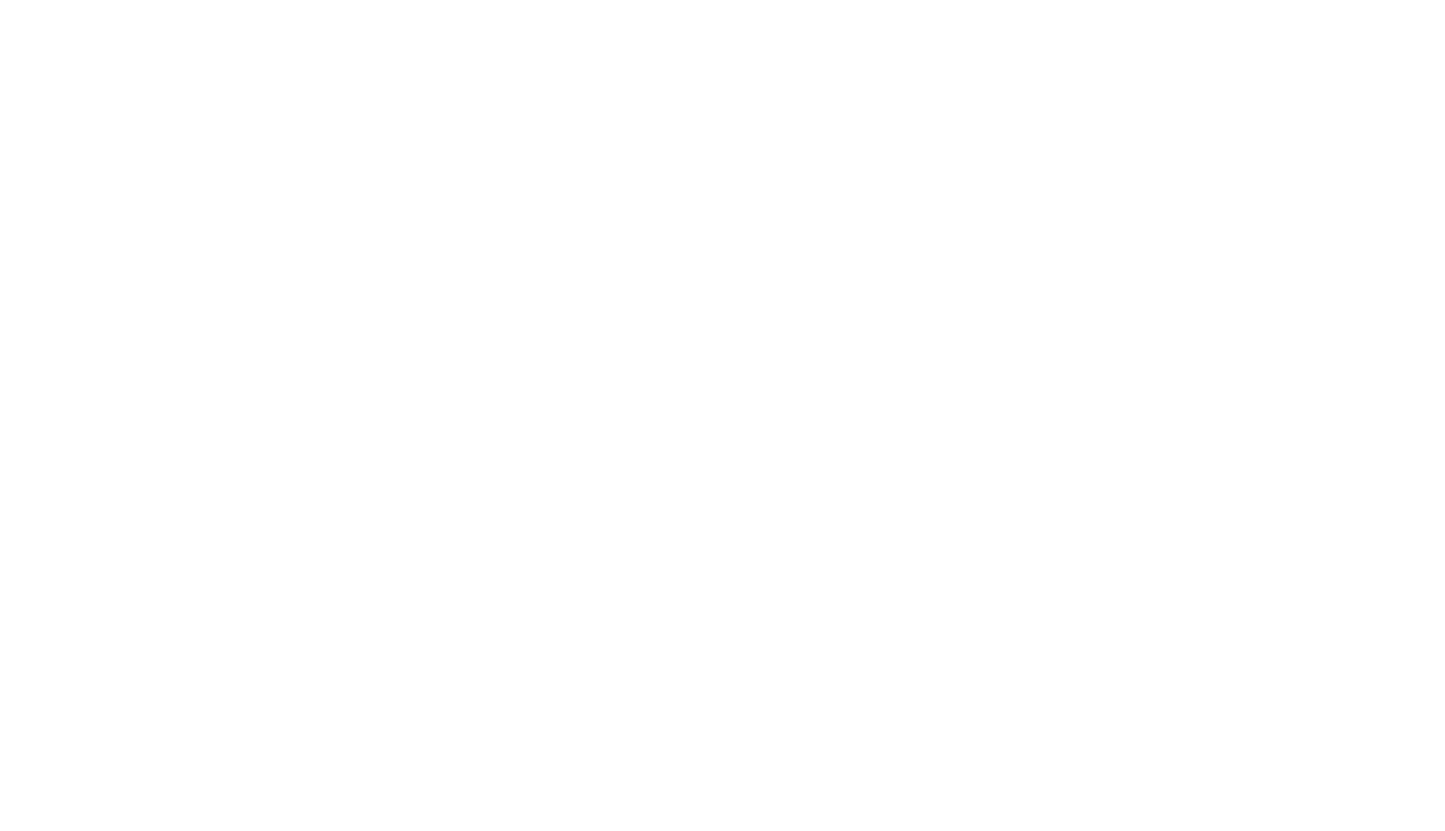Ostini logo